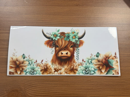Highland Cow 5