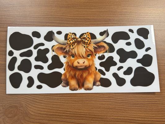 Highland Cow 4